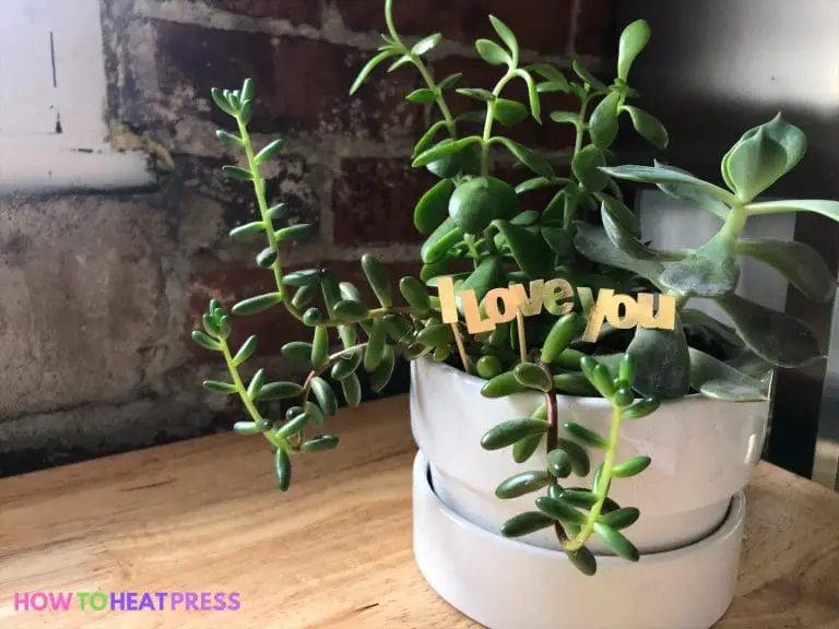 30 Fun Cricut Joy Projects So Quick &amp; Easy!