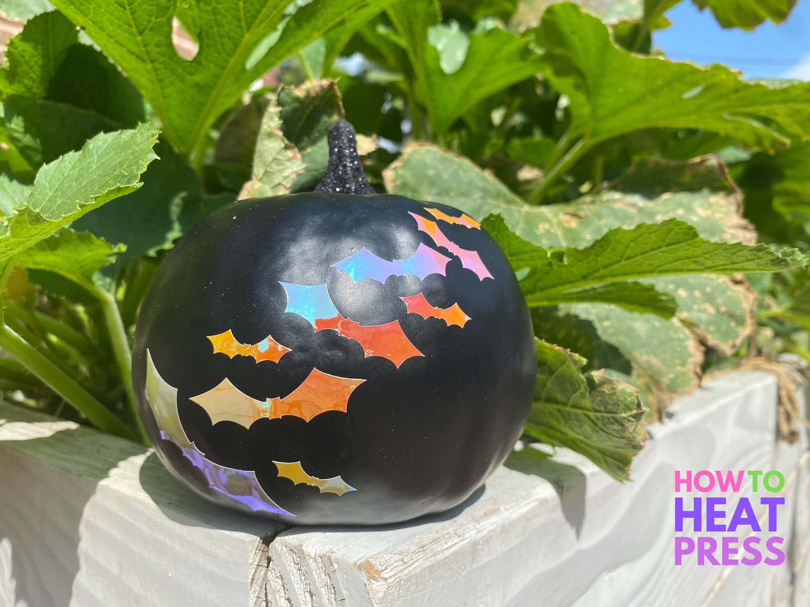 black cricut pumpkin with holographic bats